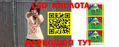 a pvp Новодвинск
