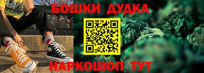 a pvp Новодвинск