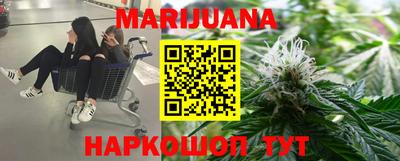 spice Новозыбков