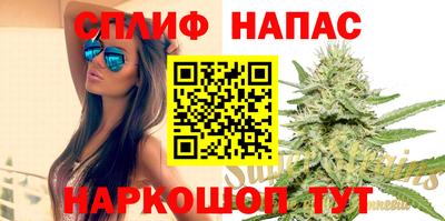 a pvp Новодвинск