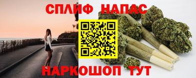 a pvp Новодвинск