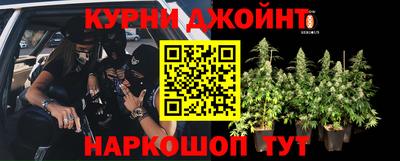 a pvp Новодвинск