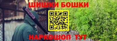 spice Новозыбков